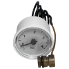 Манометр 3 бар для Ferroli (39820080)